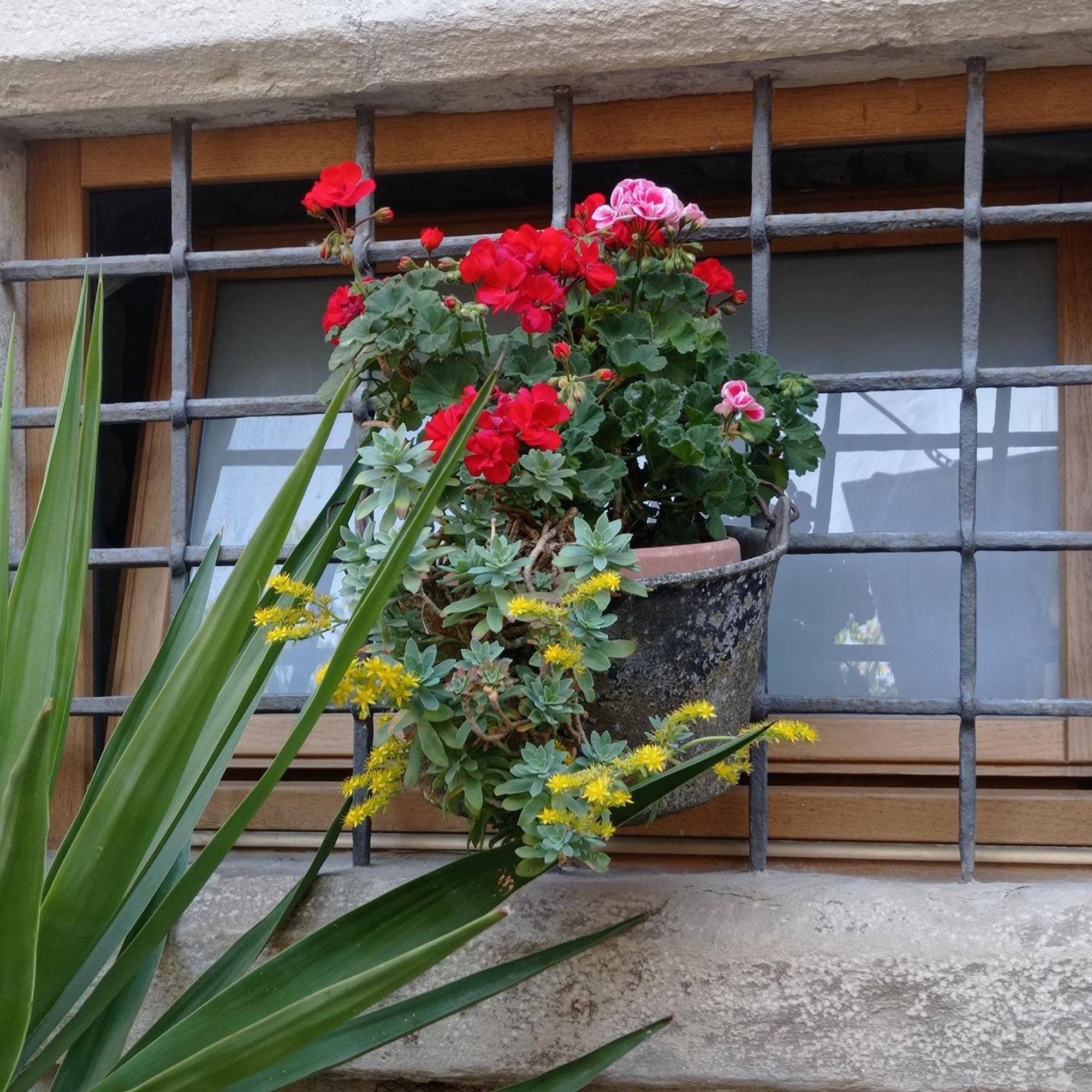Casa Vacanza Gaia Costa di Mezzate Exterior photo